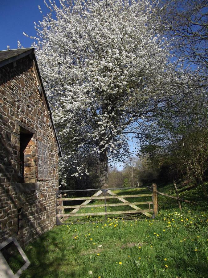 La Petite Maison O Bord De L'Eau Bernieres-le-Patry Esterno foto